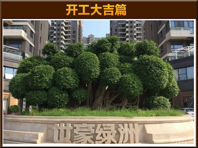 &#21322;&#23707;&#32593;&#39029;&#29256;&#45;&#21322;&#23707;&#98;&#97;&#110;&#100;&#97;&#111;&#65288;&#20013;&#22269;&#65289;